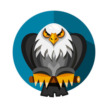 Range of icon design with the American eagle, rendered in flat design