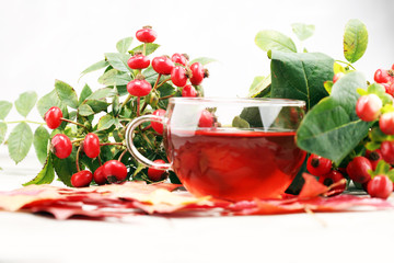 Tea. cup of herbal Dog rose tea with bunch branch Rosehips, types Rosa canina hips. Medicinal plants and herbs composition.