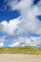Dünen bei Julianadorp