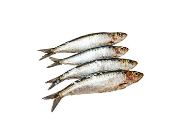 Sardines raw on white background, isolated