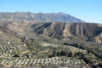 Landschaft bei Antimachia auf Kos