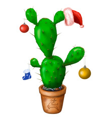 New Year cactus in the red hat