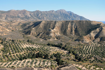 Landschaft bei Antimachia auf Kos