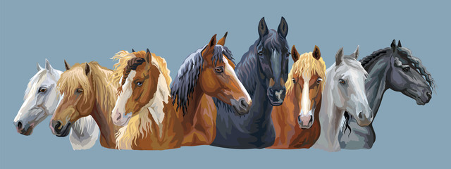 Set of horses breeds 7