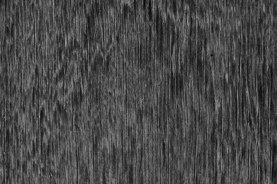 Textura