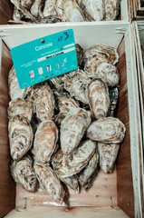 Huîtres de Cancale N°3