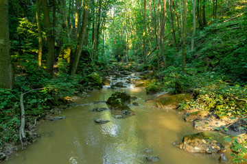 Gerence creek
