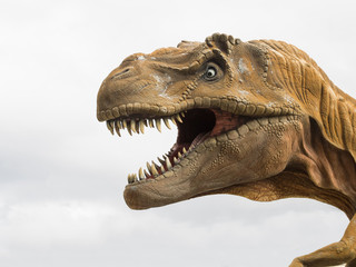 Head profile of a Tyrannosaurus rex (T-rex) model