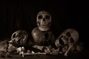 Pile of skulls and bone Halloween night dim light / Still Life image and select focus
