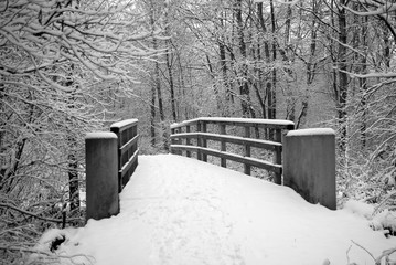 Snowy bridge in the Reedcorner - black and white winter image