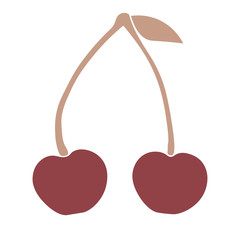 Double cherry on the twig isolated on white background.