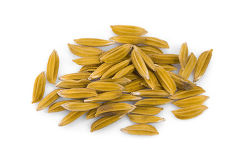 Paddy rice isolated on white background.