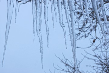 a row of long icicles against the sky and gray branches