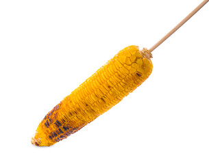 Grilled sweet corn cob isolated on white background