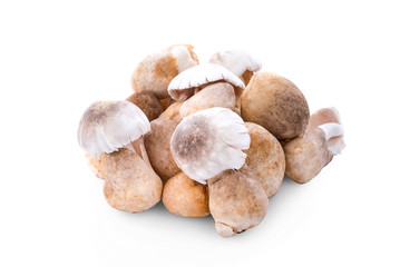Straw mushrooms isolated on white background .
