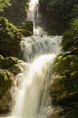 Fototapeta premium waterfall in xilitla