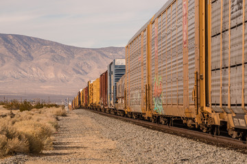 Obraz premium long freight train by Mojave California