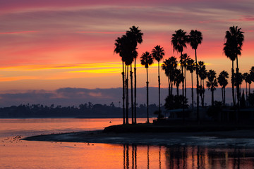 Iconic silhouette of palm trees over Mission Bay San Diego - obrazy, fototapety, plakaty