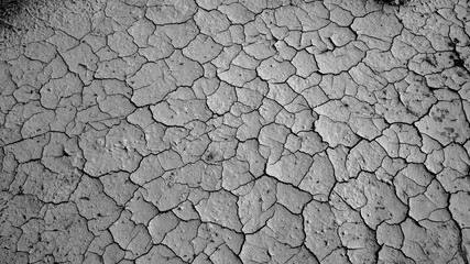 Drought in the western USA causes the earth to crack on a lake bed.
