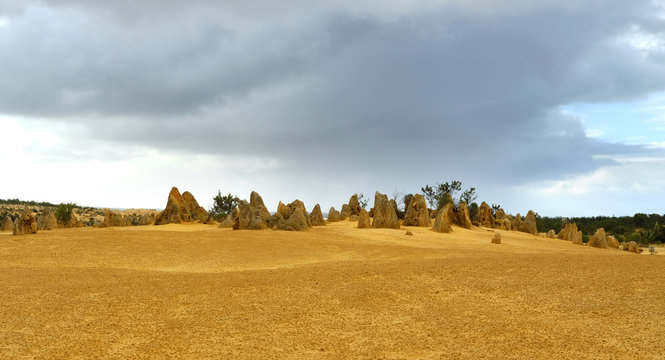 Yellow stones of Pinnacle Desert. Australia