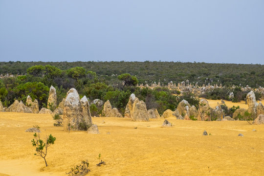 Yellow stones of Pinnacle Desert. Australia