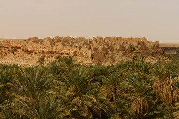 Kasbah. Oaza Meski. Morocco.