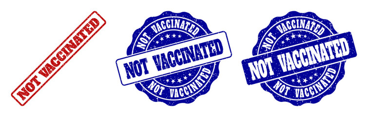 NOT VACCINATED grunge stamp seals in red and blue colors. Vector NOT VACCINATED imprints with grunge effect. Graphic elements are rounded rectangles, rosettes, circles and text tags.