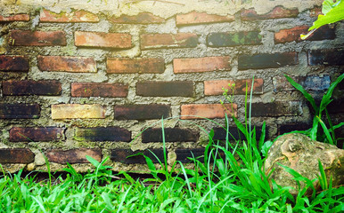 Old red brick wall with moss. Ideas for the background.