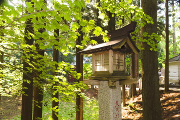 Saitama