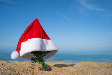 Christmas Santa hat on the beach and tree. are texture Nature background creative tropical layout made at phuket Thailand
