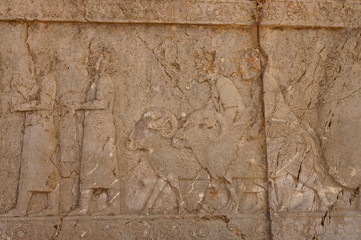 Persepolis. Iran