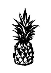 Vector illustration of a hand drawn pineapple isolated on white.