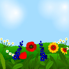 Summer background with field flowers. Vector illustration. Summer flowers design. Meadow landscape.