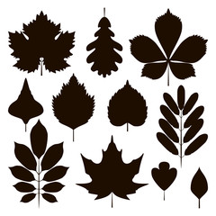 Set of leaves silhouettes isolated on white background. Vector illustration