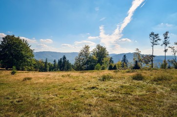 Obraz premium Beautiful mountain landscape. Glade in the mountains in a summer scenery.