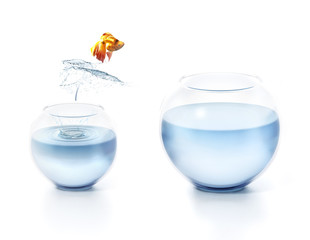 Fish jumping out of the bowl. 3D illustration