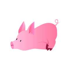 Vector illustration of a funny pig