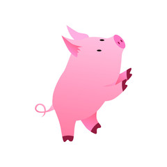 Vector illustration of a funny pig