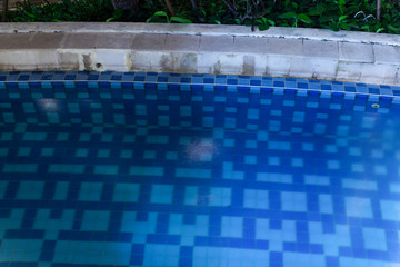 Pool at night with lush greenery and lighting for home design and landscaping.