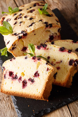 Dessert baking black currant cake close-up on the table. vertical