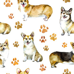 Watercolor seamless pattern of corgi with paw prints. Puppy dog background - Illustration