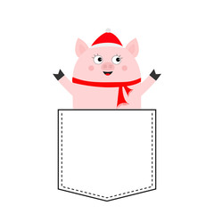 Pig face head in the pocket. Santa hat, scarf. Piggy piglet character. Cute cartoon animals. Dash line. White and black color. T-shirt design. Baby background. Isolated. Flat design.