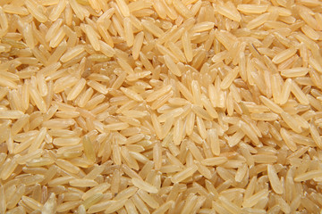 close up of brown rice