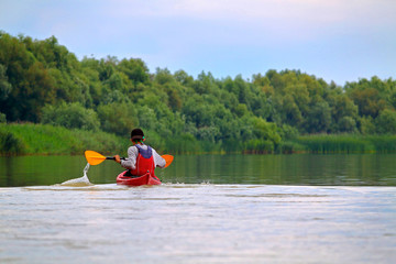 Rear view of teenager paddle red kayak on summer Danube river. Summer kayaking. Concept for adventure, travel, action, lifestyle