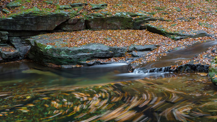 落ち葉グルグル