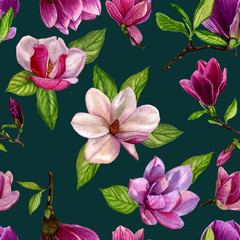 Seamless pattern with flowers of magnolia. Watercolour floral pattern, wallpaper on a dark background, fabric. Illustrations hand painted.