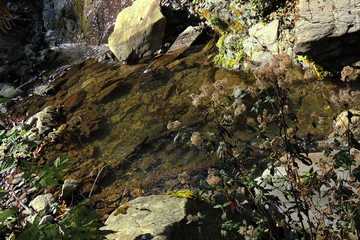ruscello