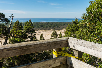 The sand and coastline from a high point of view over the Oregon dunes
