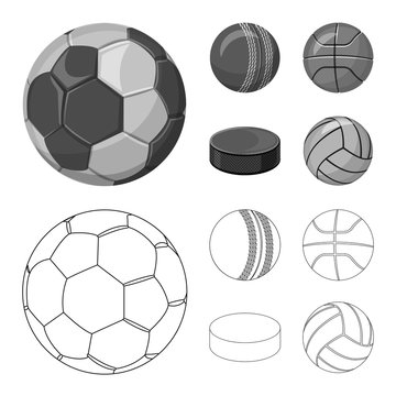 Vector illustration of sport and ball symbol. Set of sport and athletic stock vector illustration.