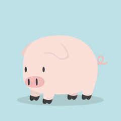 Cute little pig  cartoon